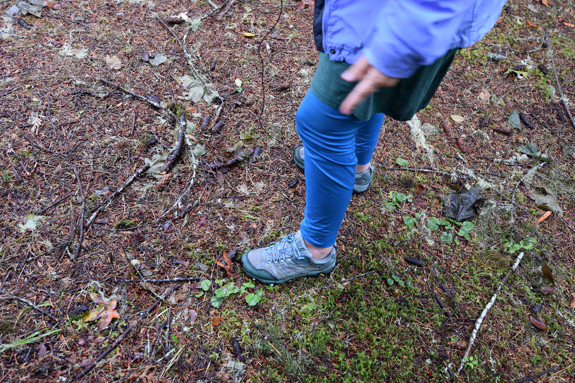 Since we started the course, we are running across moss everywhere. It is amazing how the brain begins to see things that were always there.