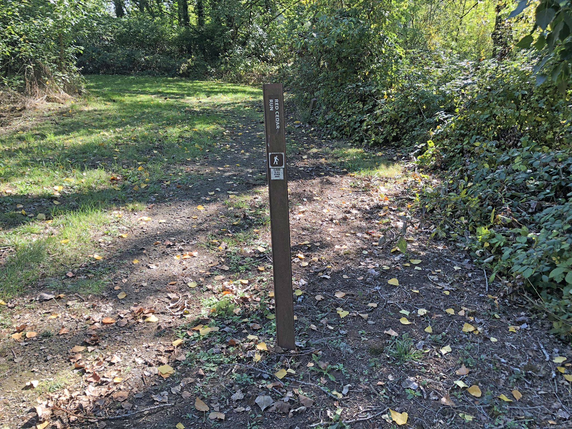 Trails wind through new and old experimental plots.