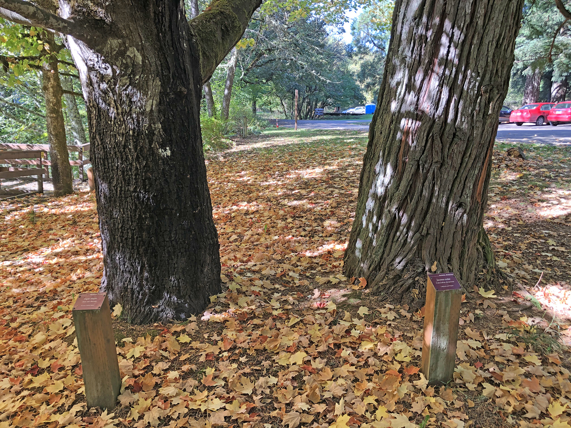 Tress near the parking areas have labels to assist with identification.