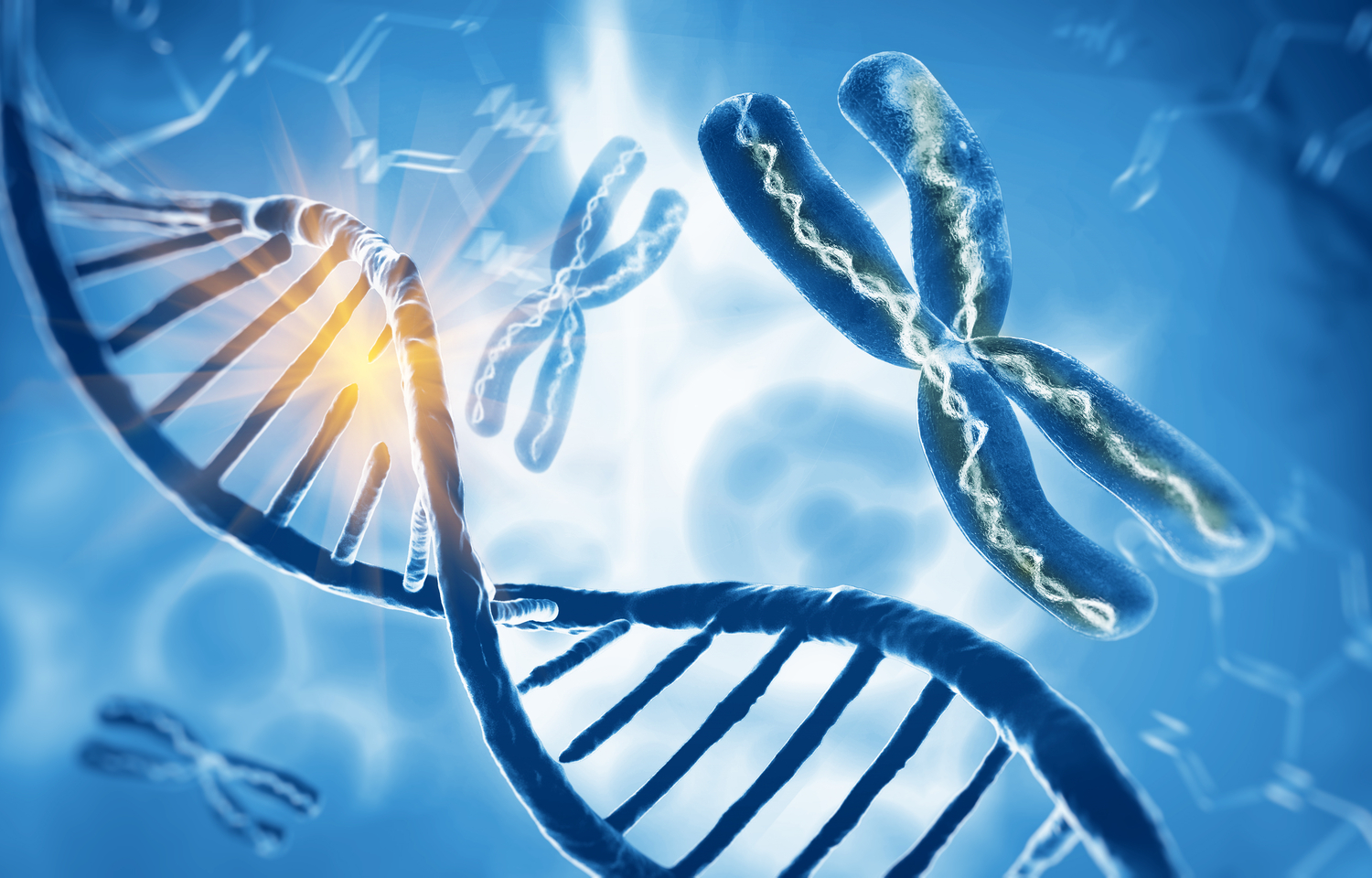 6p1 Chromosomes & DNA