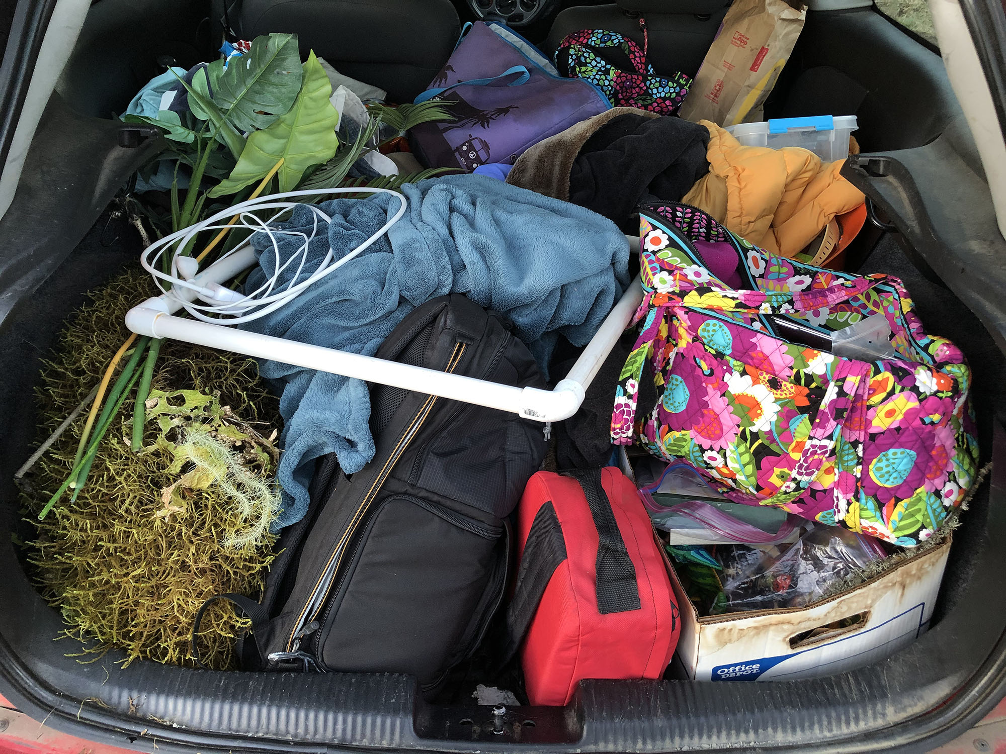 Sometimes the trunk of our "all-terrain" Ford Focus is one big pile of field gear.