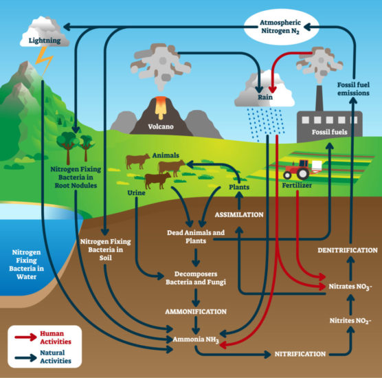 2a3 Lithosphere – biotas