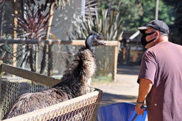 game park employee