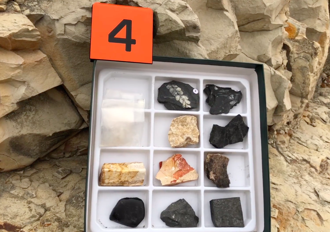 7a4 Fossils
